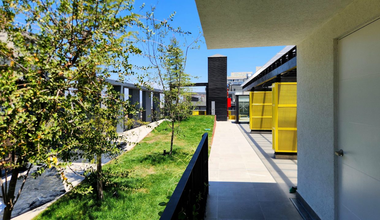 Borde_Vivo_5