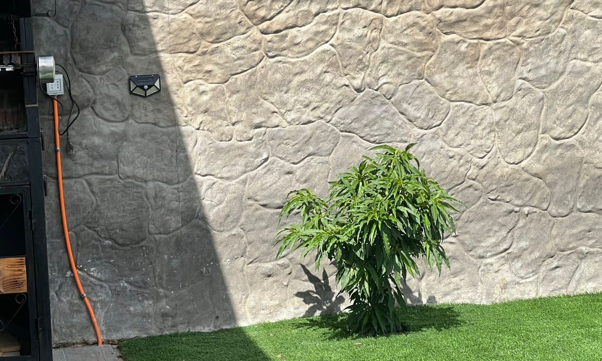 WhatsApp Image 2025-10-10 at 16.00.34 (3)